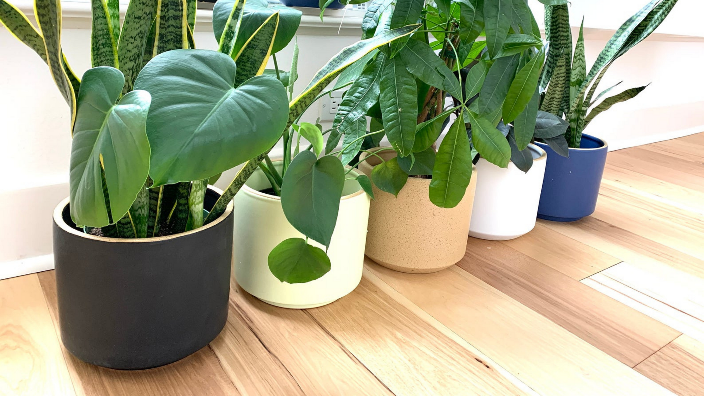 Pots